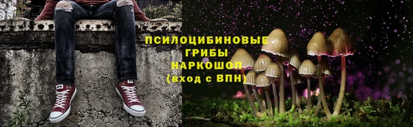 дживик Алексеевка