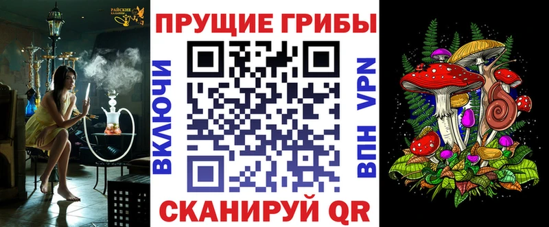 Псилоцибиновые грибы Psilocybine cubensis  закладки  Кореновск 